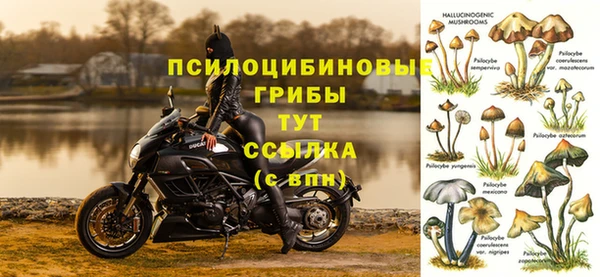 прущая мука Балахна