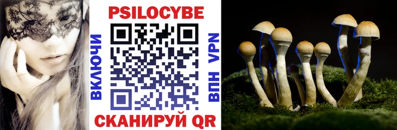 Галлюциногенные грибы Magic Shrooms  Краснокаменск 
